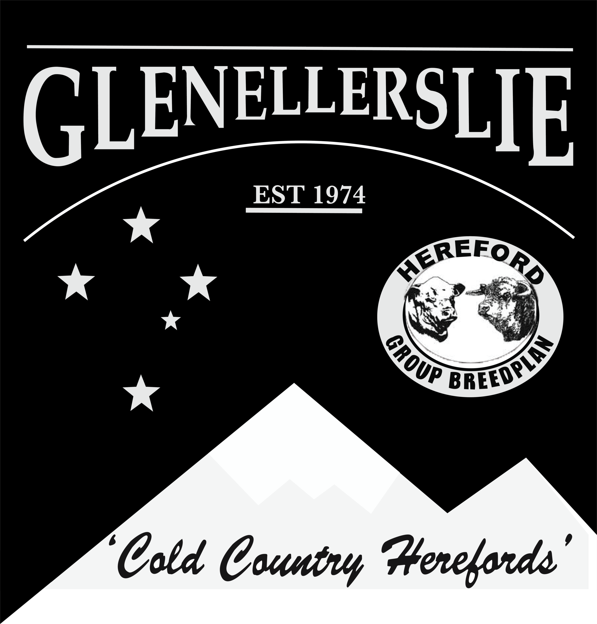 Glenellerslie Herefords